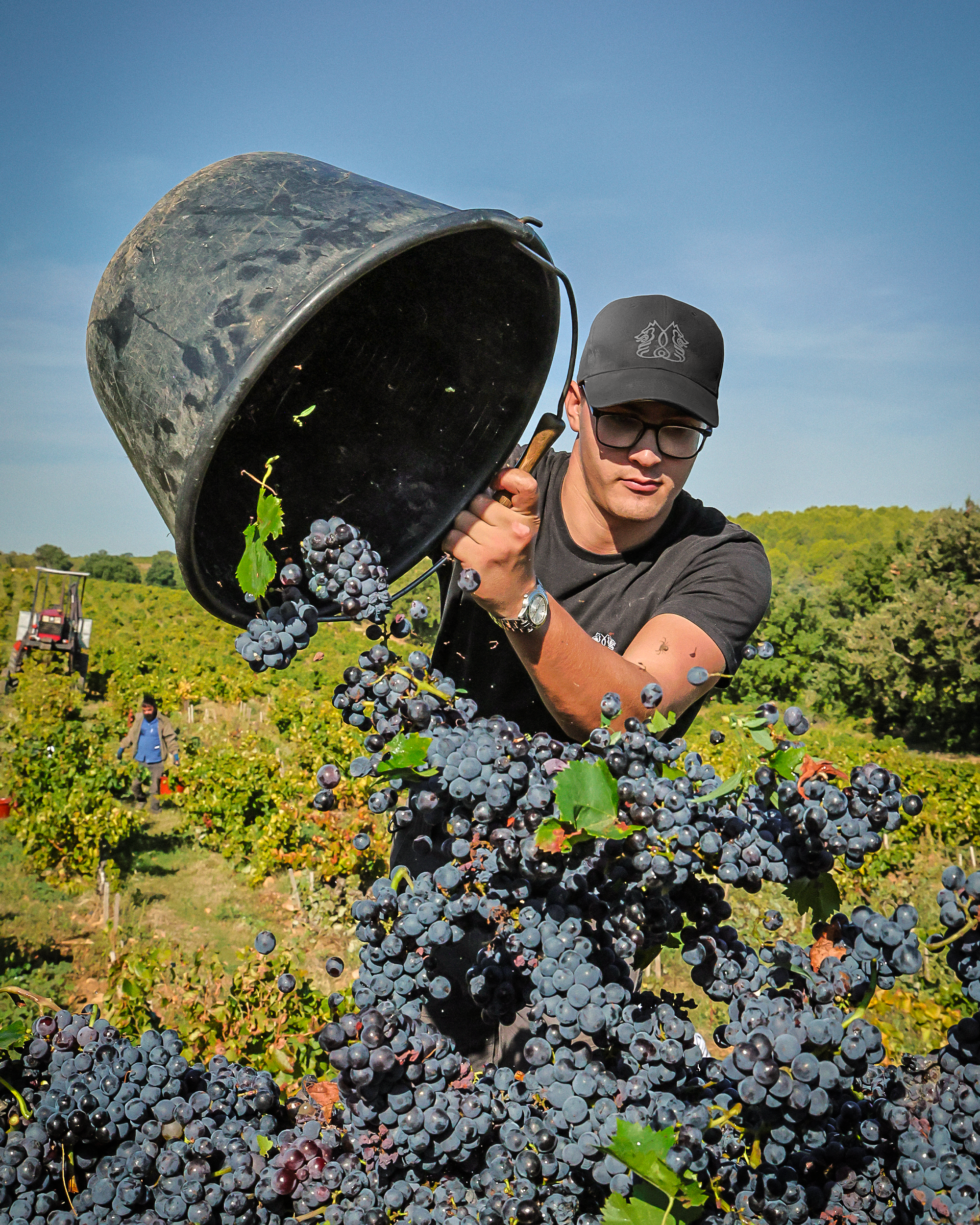 Signature visuelle Font du Loup