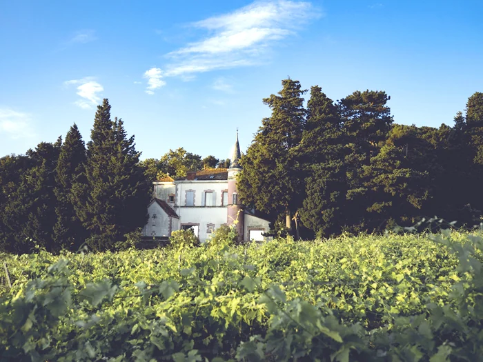 Vignes et château du Château de la Font du Loup à Châteauneuf-du-Pape